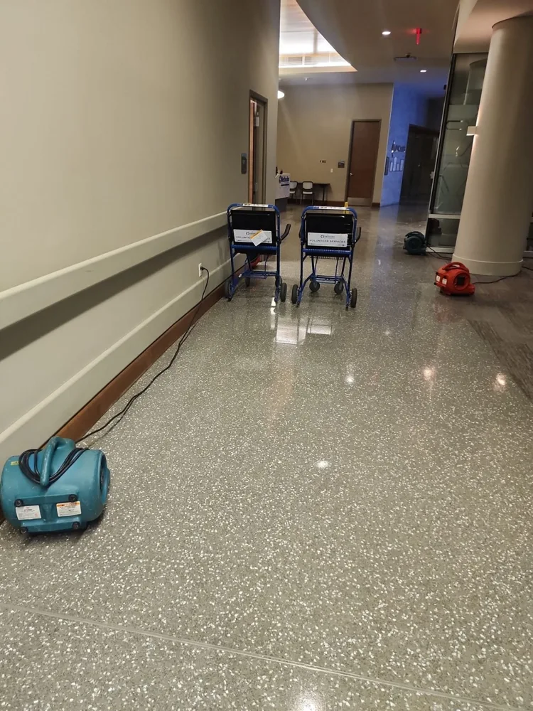 Water intrusion reference image 10: affected interior or flooring