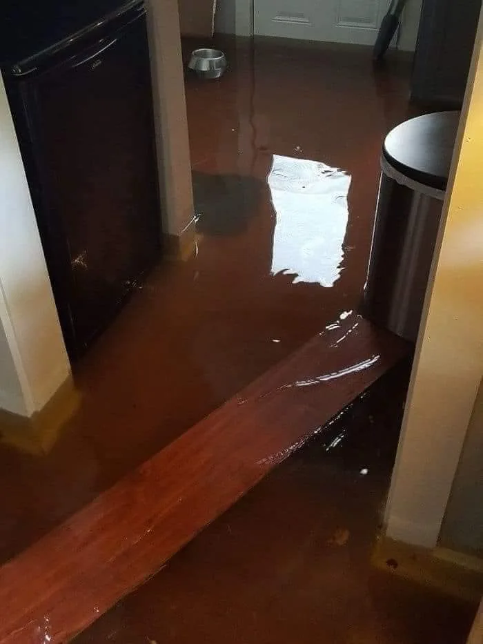 Water intrusion reference image 11: affected interior or flooring