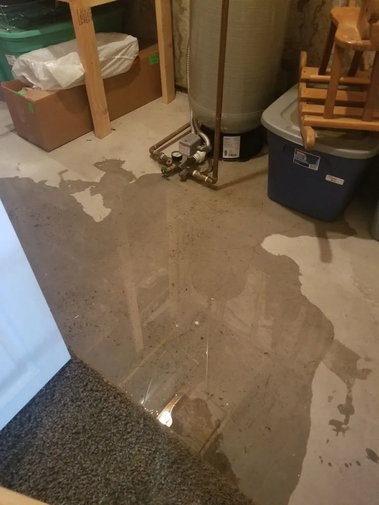 Water intrusion reference image 12: affected interior or flooring