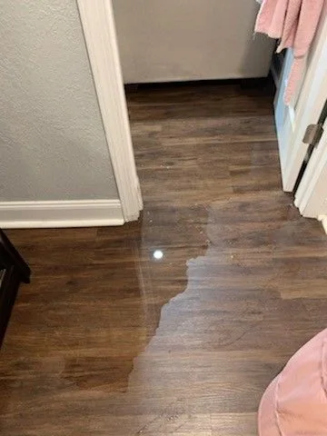 Water damage reference image 6: affected interior or flooring