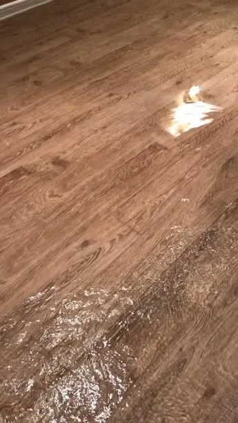 Water damage reference image 7: affected interior or flooring