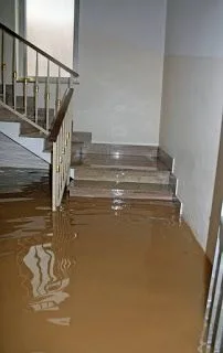 Water damage reference image 8: affected interior or flooring