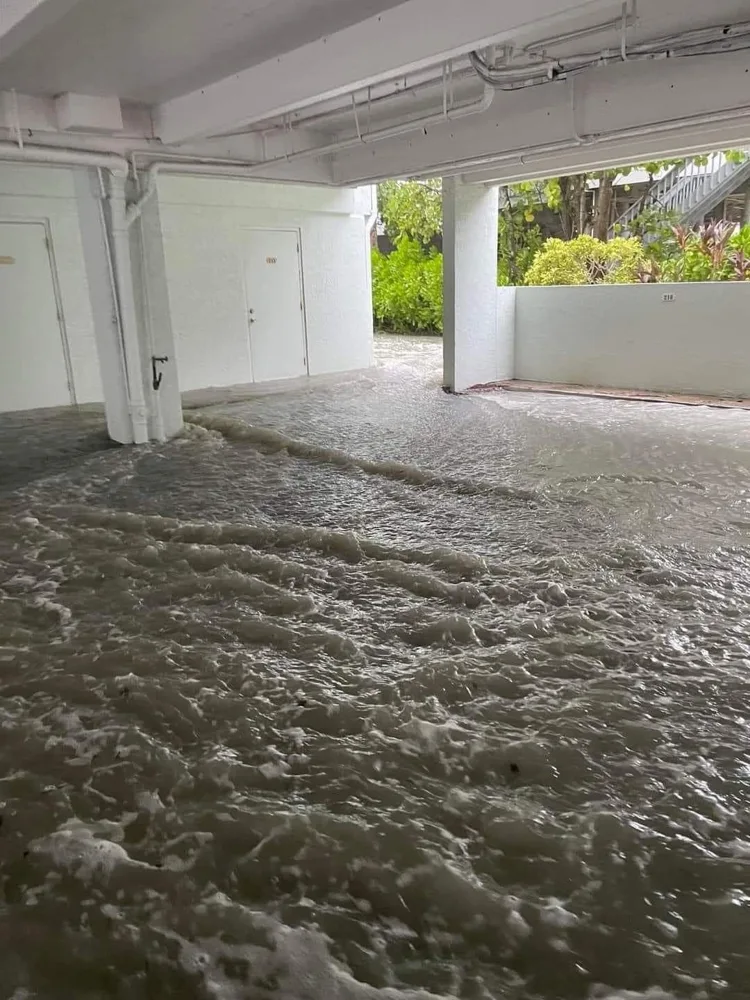 Water intrusion reference image 9: affected interior or flooring